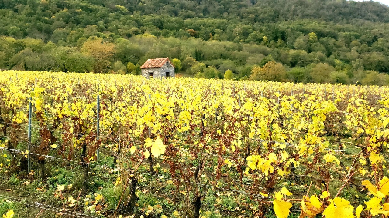 Photo of Outdoor in Blanzat