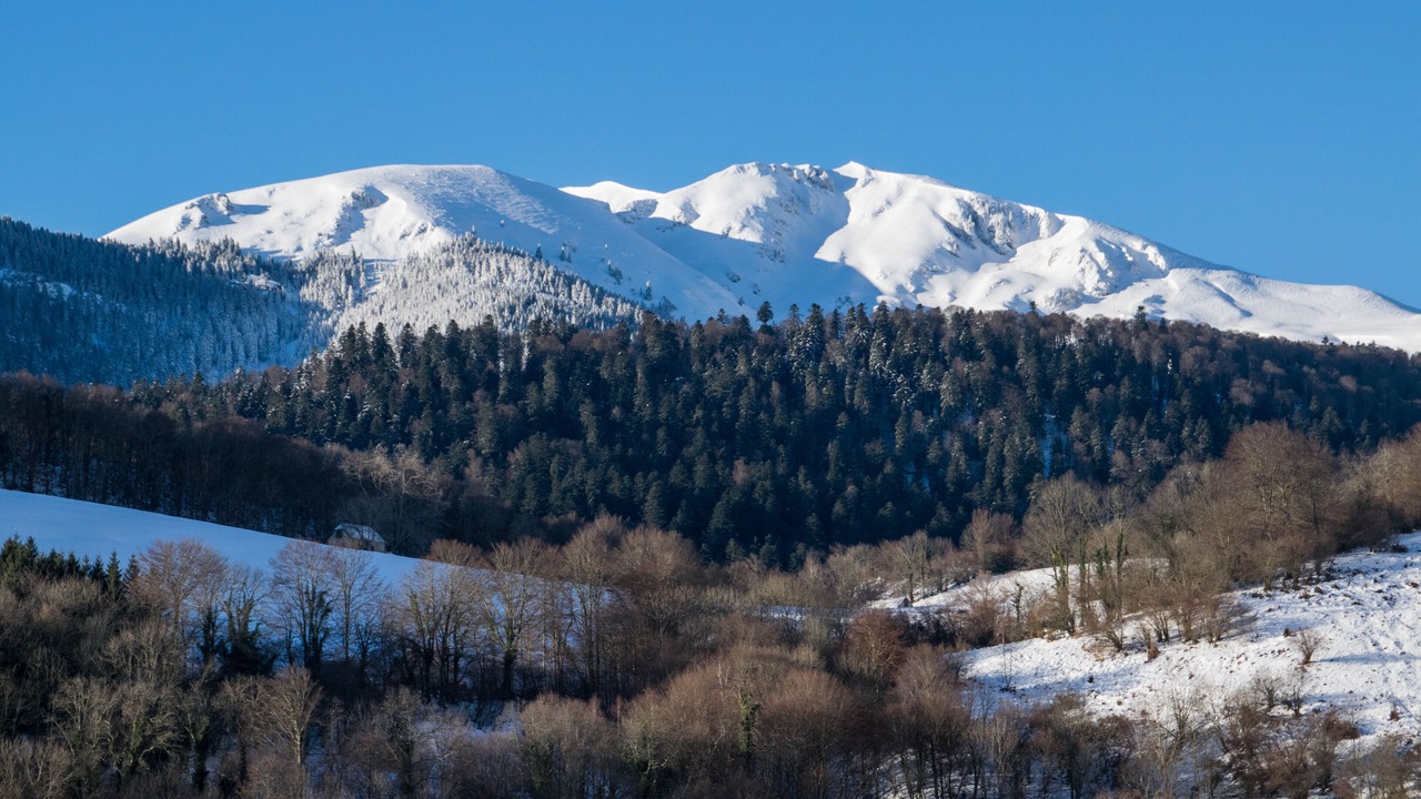 Photo of Others in Bagneres-de-Bigorre