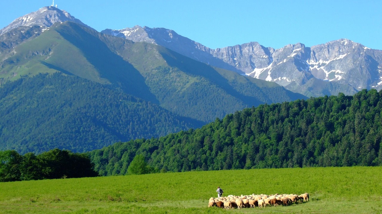 Photo of Outdoor in Bagneres-de-Bigorre
