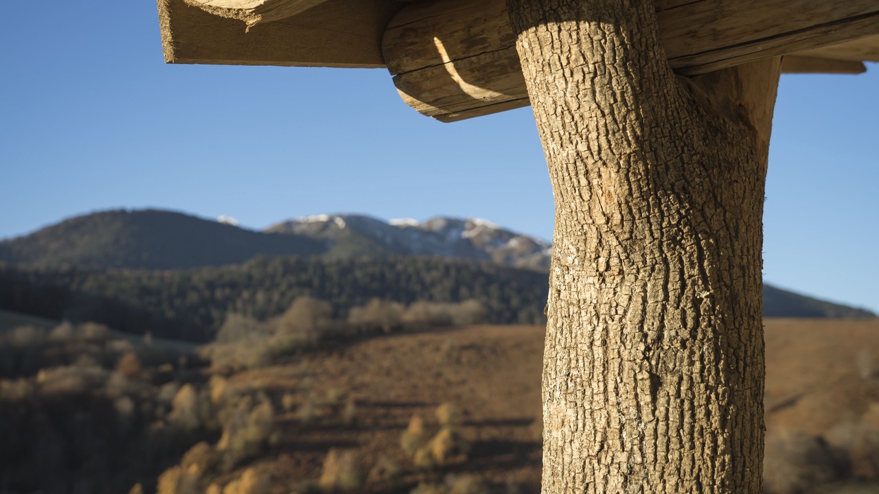 Photo of Others in Bagneres-de-Bigorre