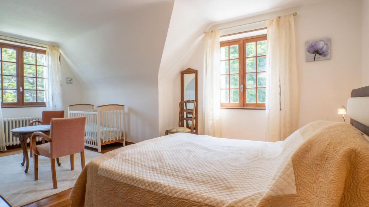 Photo of Others in Treflez