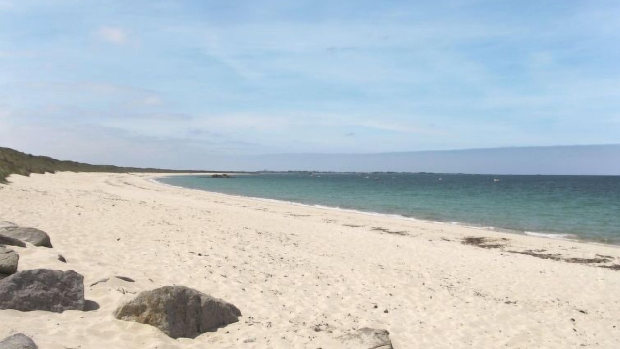 Photo of Others in Treflez