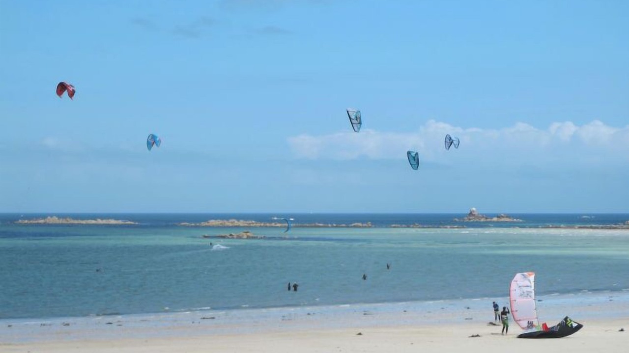 Photo of Others in Treflez