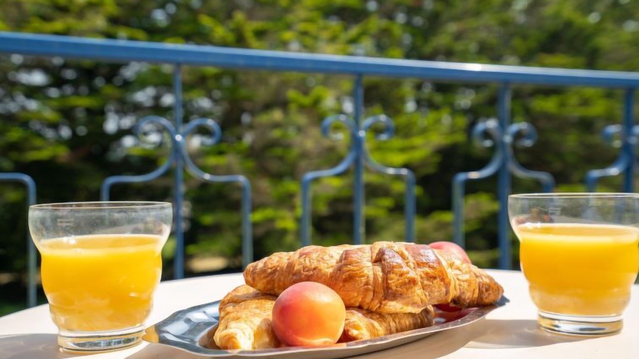 Photo of Others in Treflez