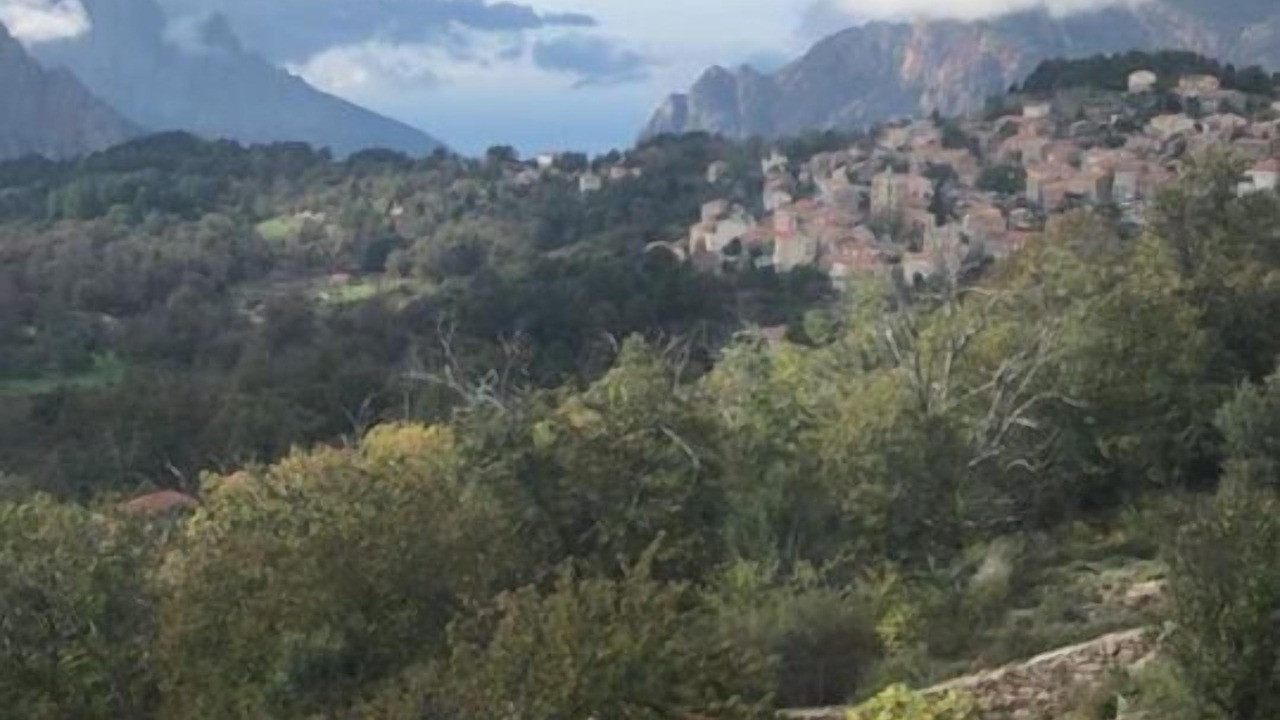 Photo of Others in Evisa