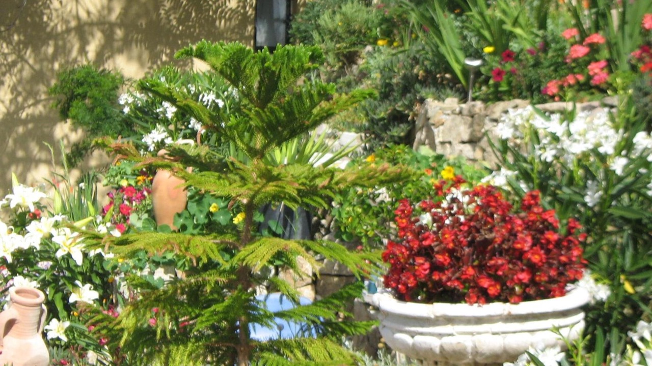 Photo of Outdoor in Evisa