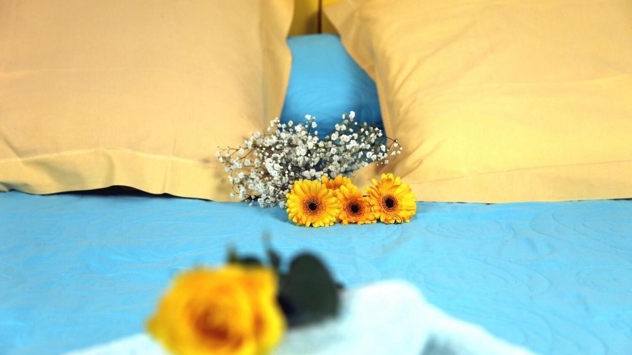 Photo of Bedroom in Laure-Minervois