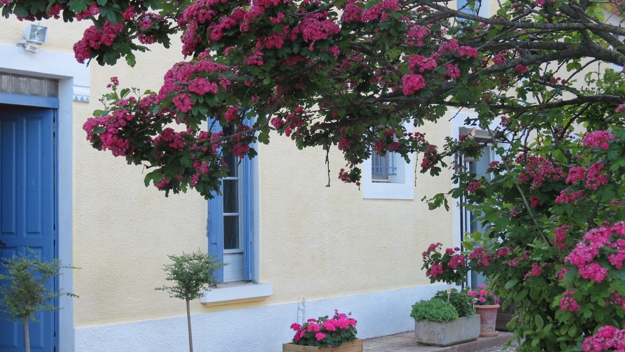Photo of Patio Balcony in Laure-Minervois