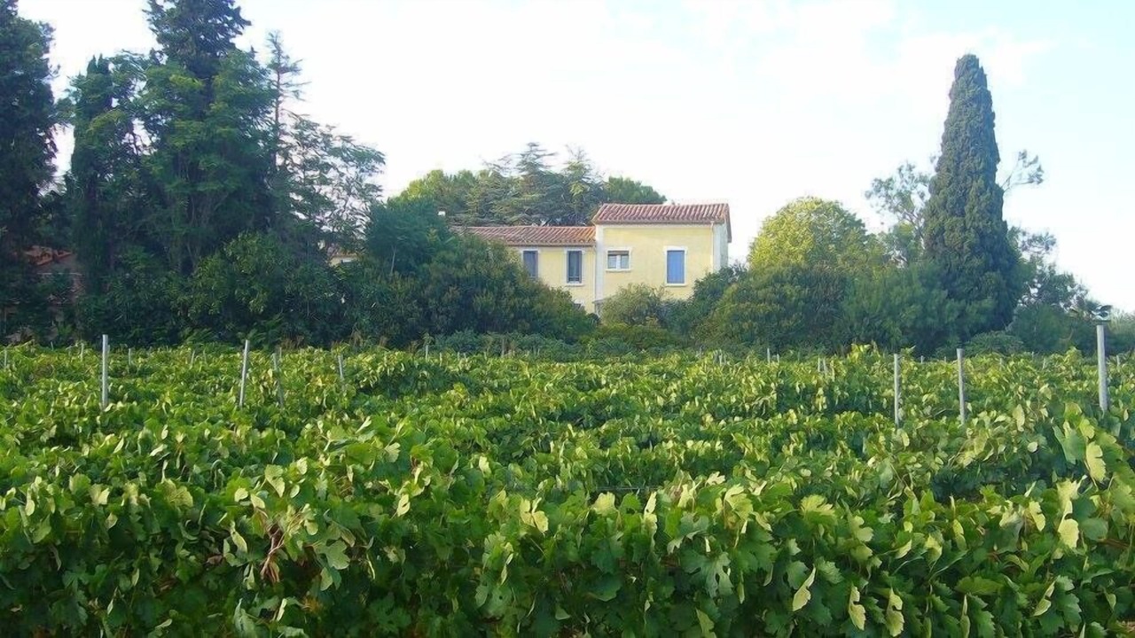 Photo of Outdoor in Laure-Minervois