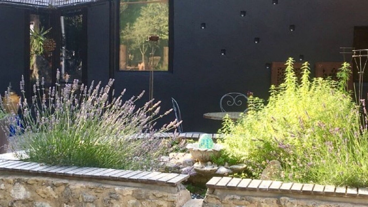 Photo of Outdoor in La Sauvetat