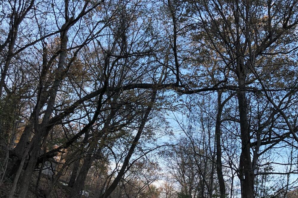 Photo of Outdoor in Wagoner