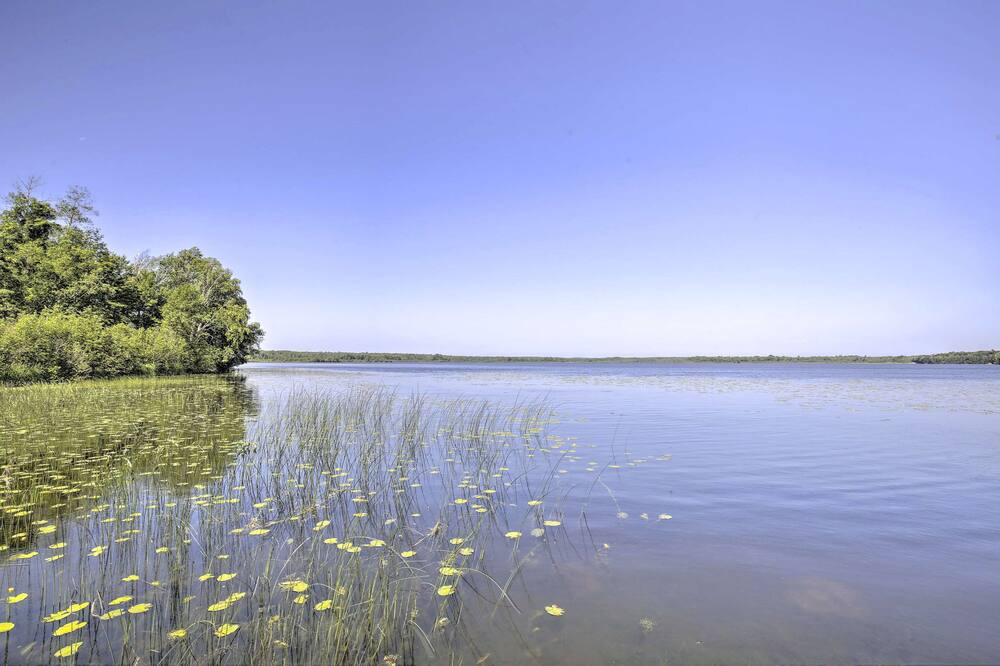 Photo of Others in Brill