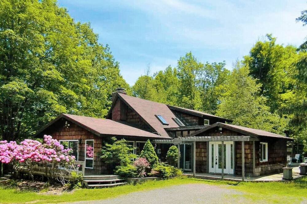 Photo of Others in Denver