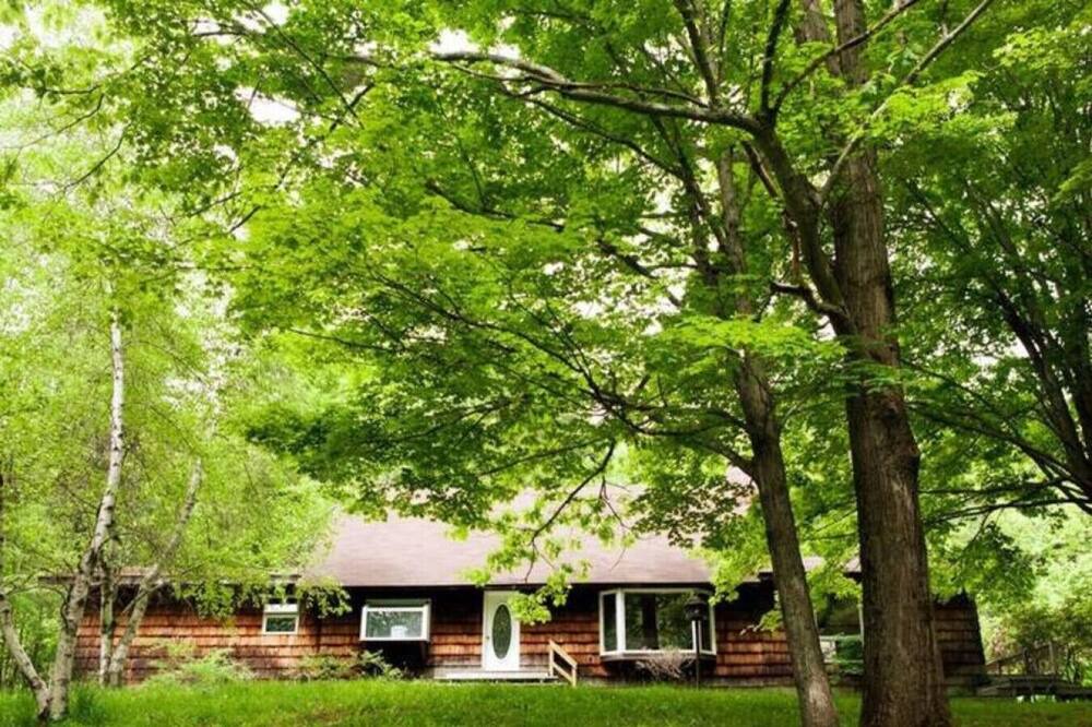 Photo of Others in Denver