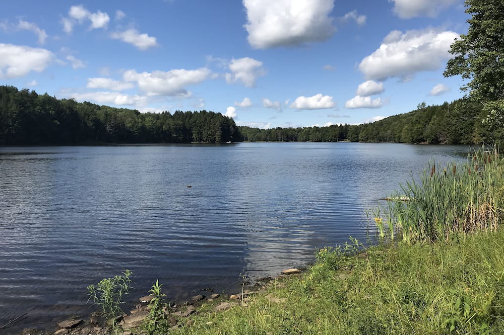 Photo of Others in Town of Smyrna