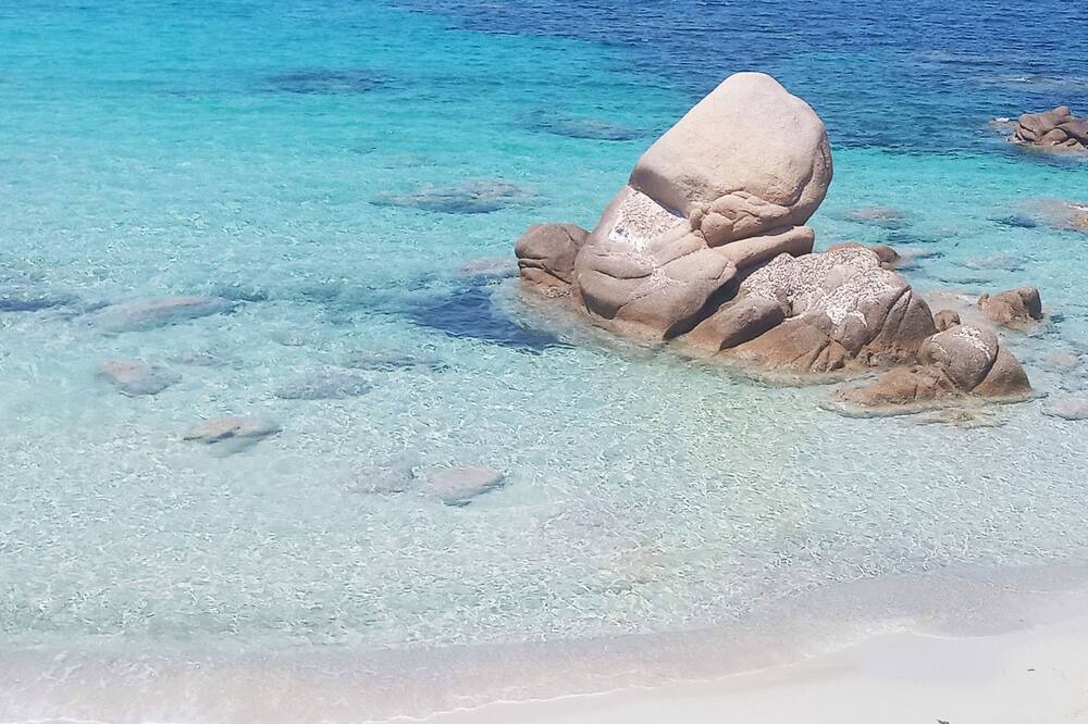 Photo of Others in Molini