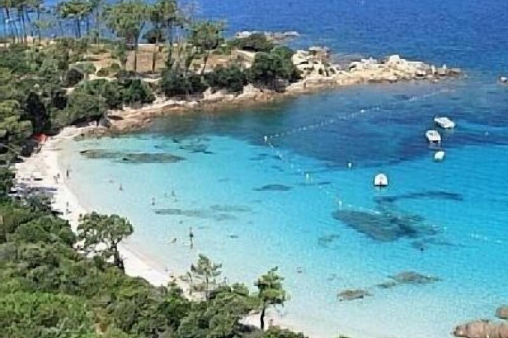 Photo of Others in Molini