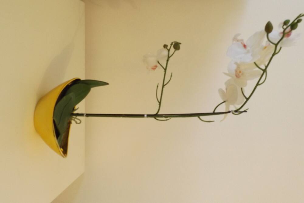 Photo of Others in Binley