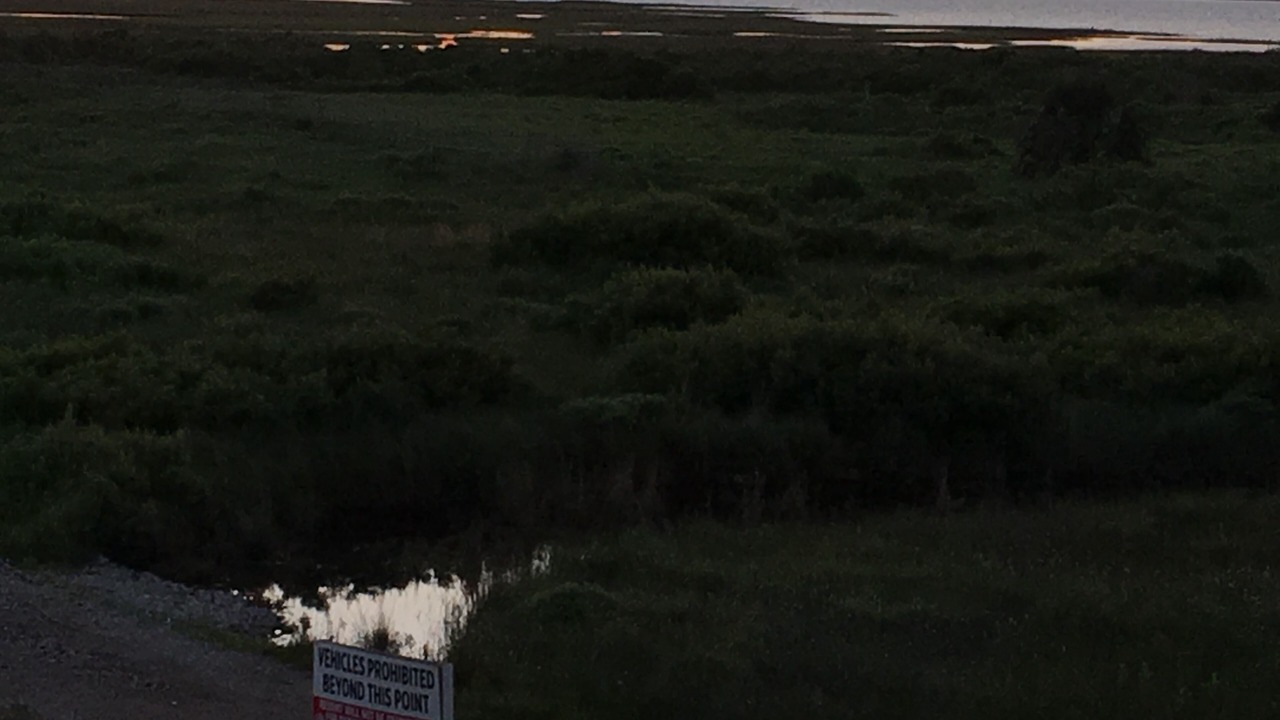 Photo of Outdoor in Galveston