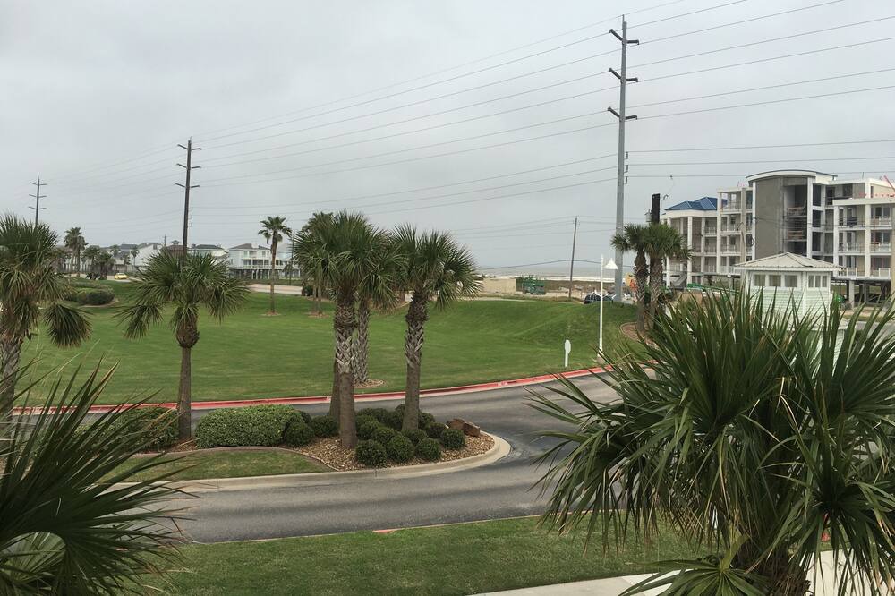 Photo of Others in Galveston