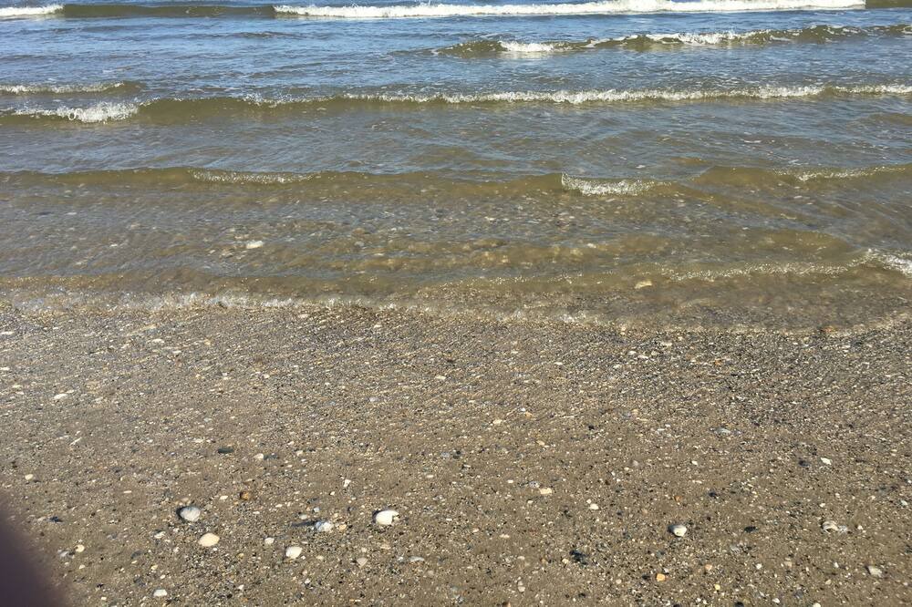 Photo of Others in Galveston