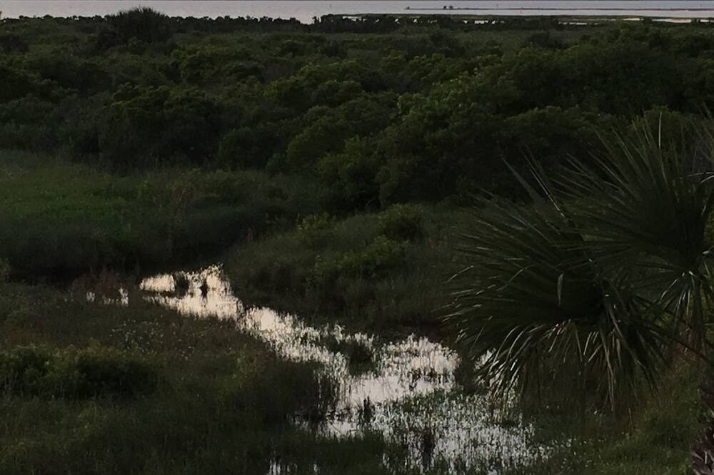 Photo of Outdoor in Galveston