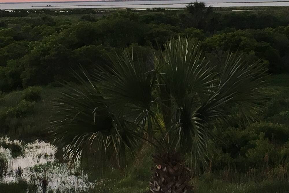 Photo of Outdoor in Galveston