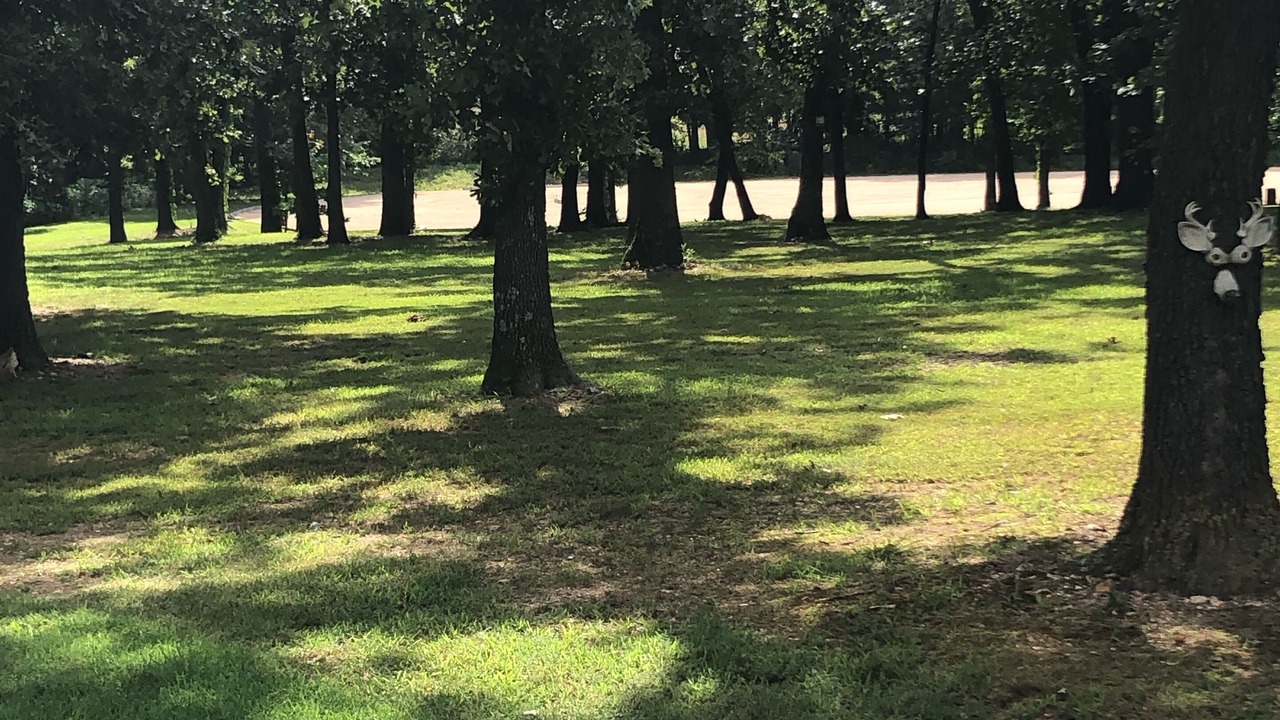 Photo of Outdoor in Westville