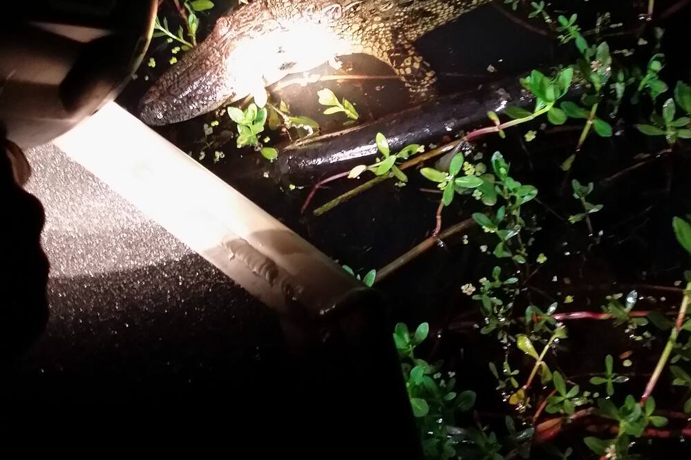 Photo of Outdoor in Columbus