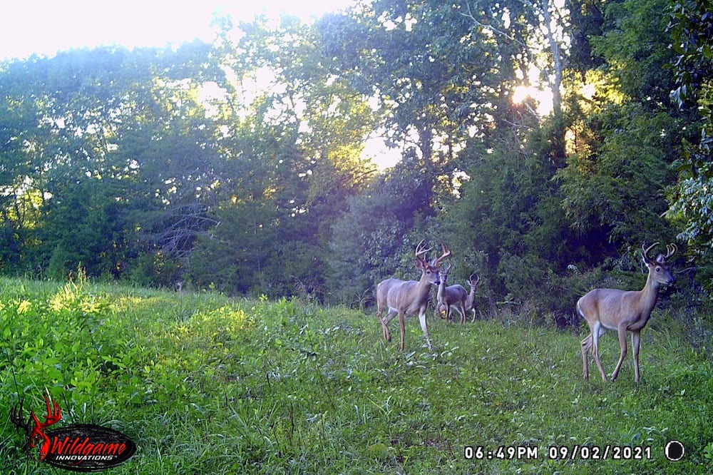 Photo of Outdoor in Appomattox