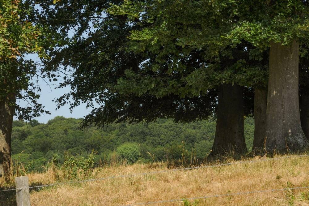 Photo of Outdoor in Le Hanouard