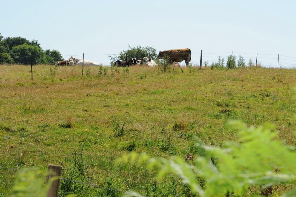 Photo of Outdoor in Le Hanouard