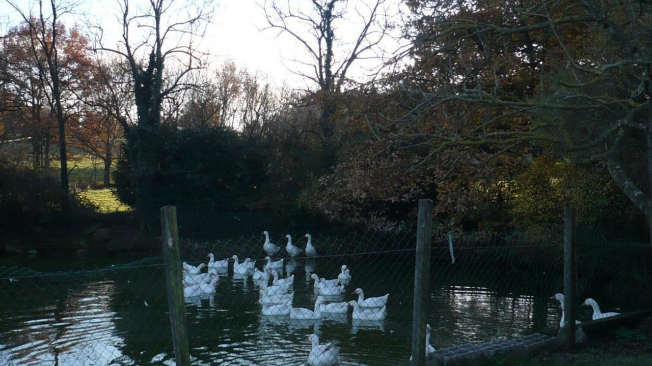 Photo of Others in Parigny