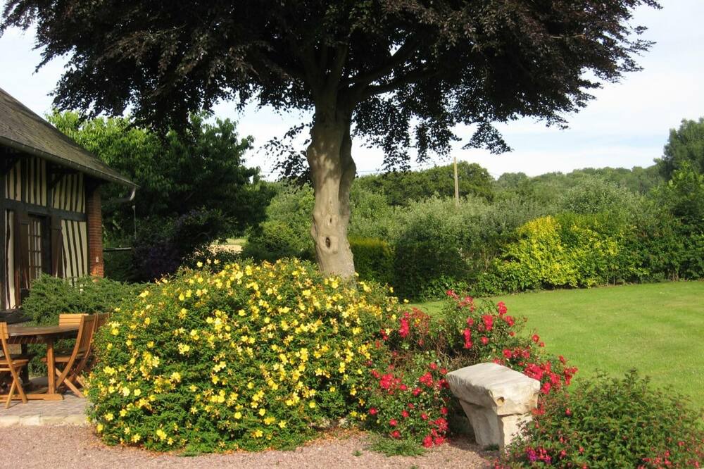 Photo of Outdoor in Sainte-Beuve-en-Riviere