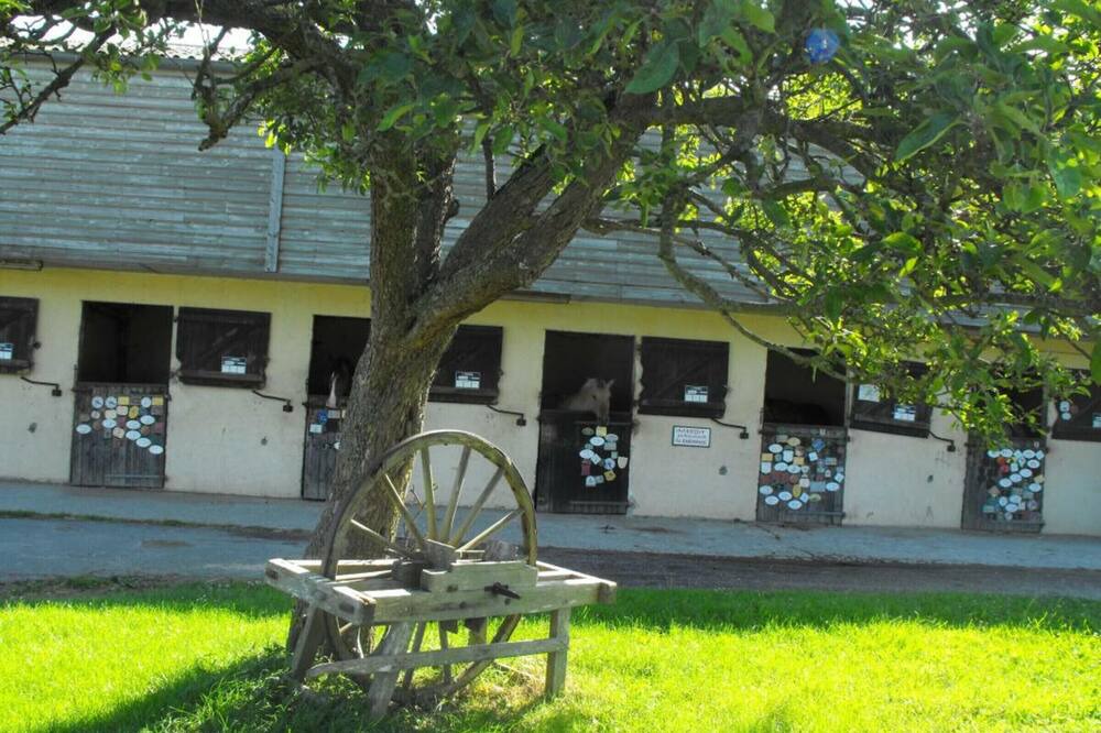 Photo of Outdoor in Le Tilleul