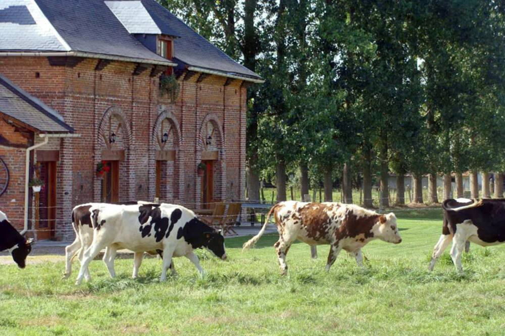 Photo of Outdoor in Gonneville-sur-Scie