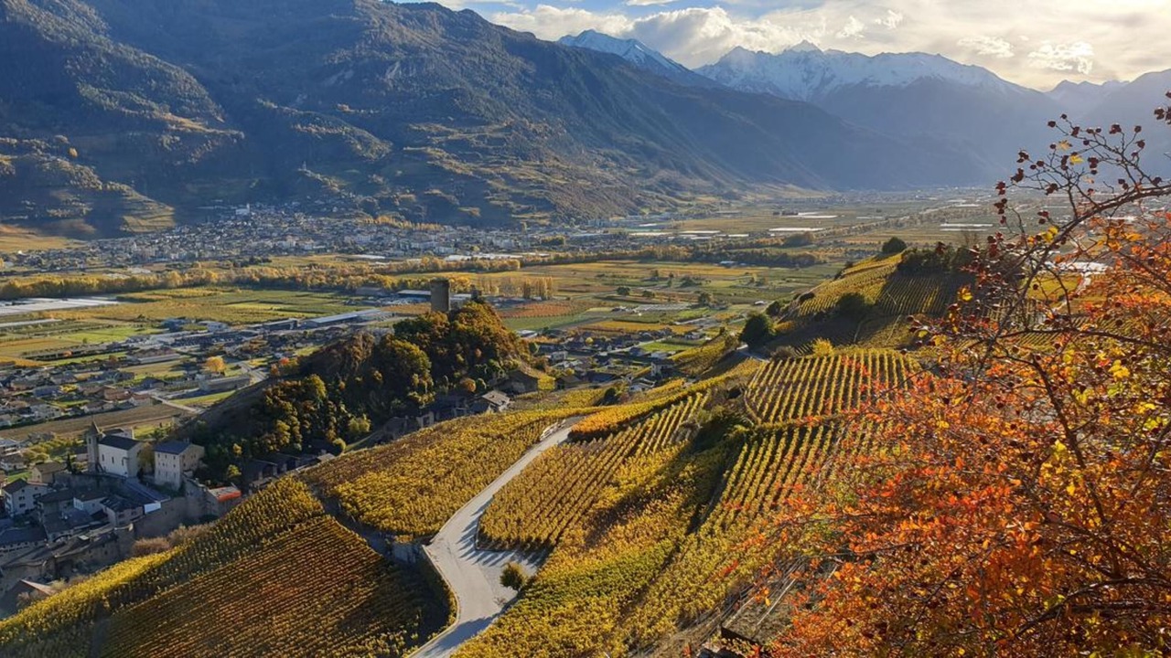 Photo of Outdoor in Saillon