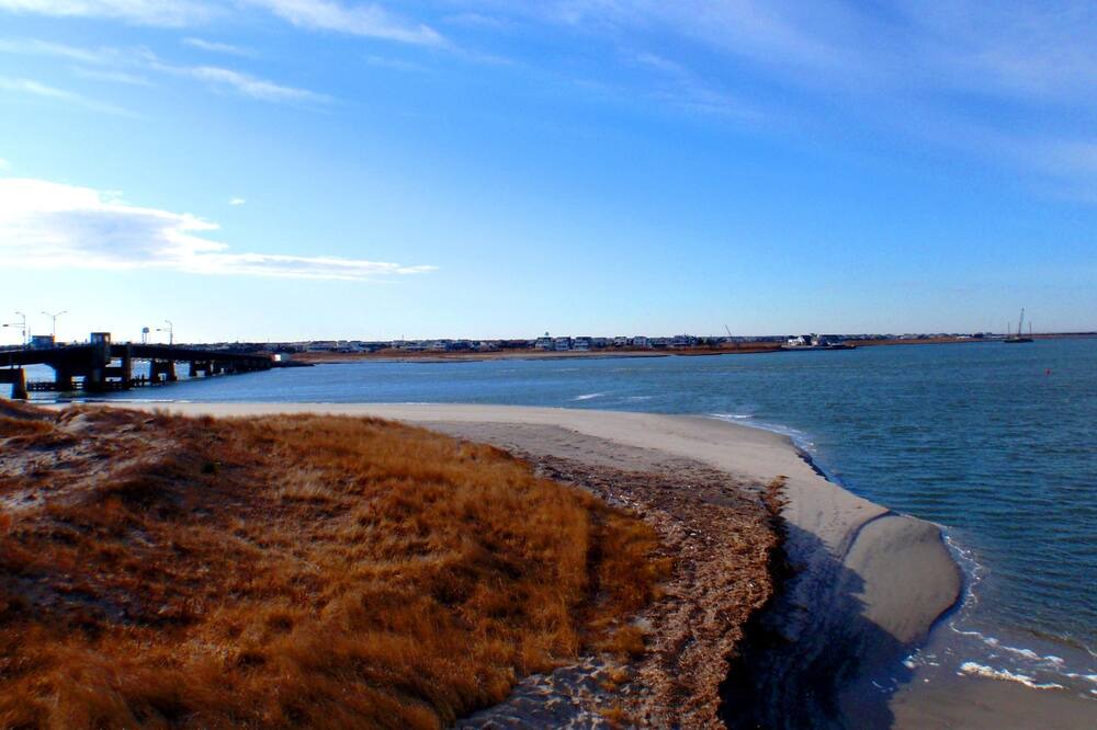Photo of Others in Townsend's Inlet