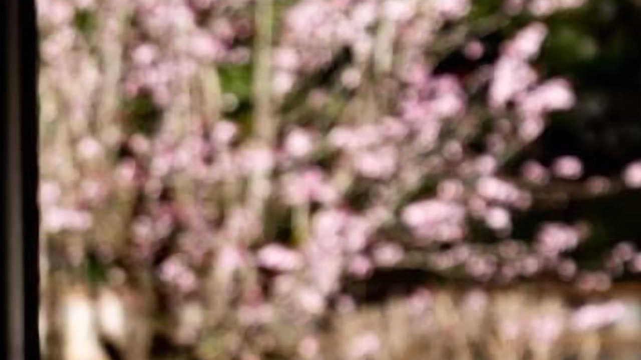 Photo of Outdoor in Aurillac