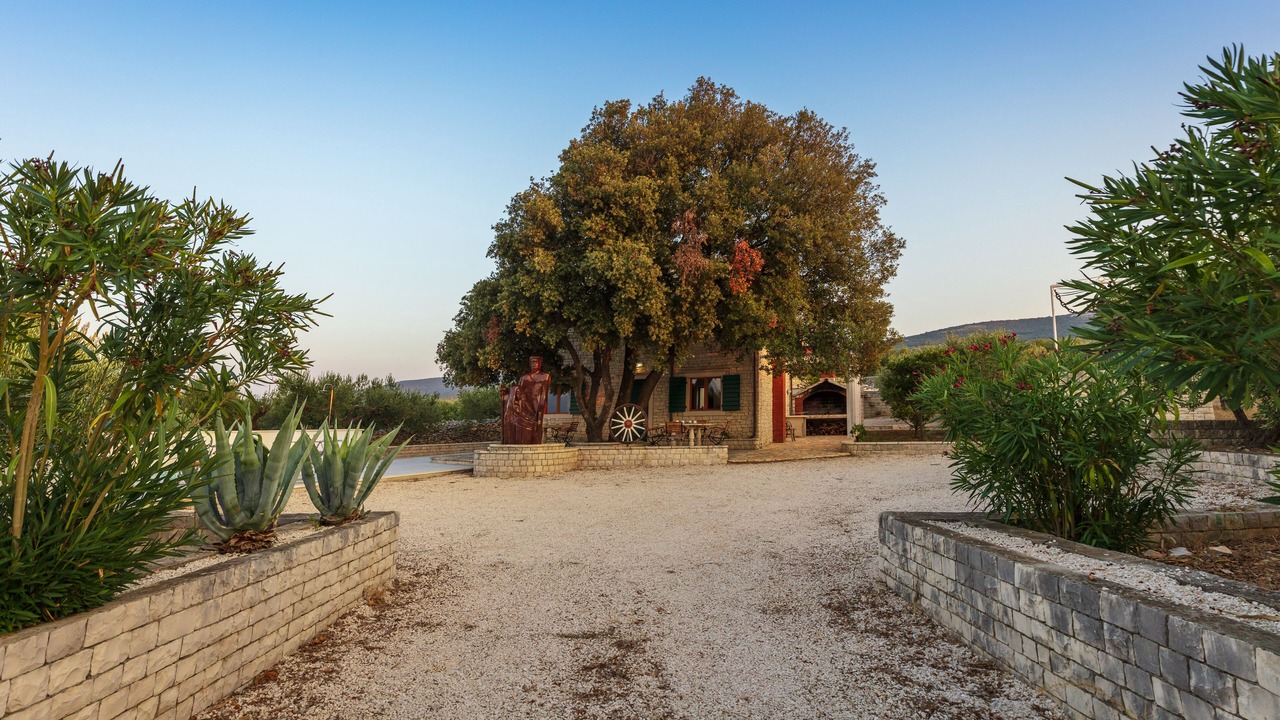 Photo of Outdoor in Pucisca
