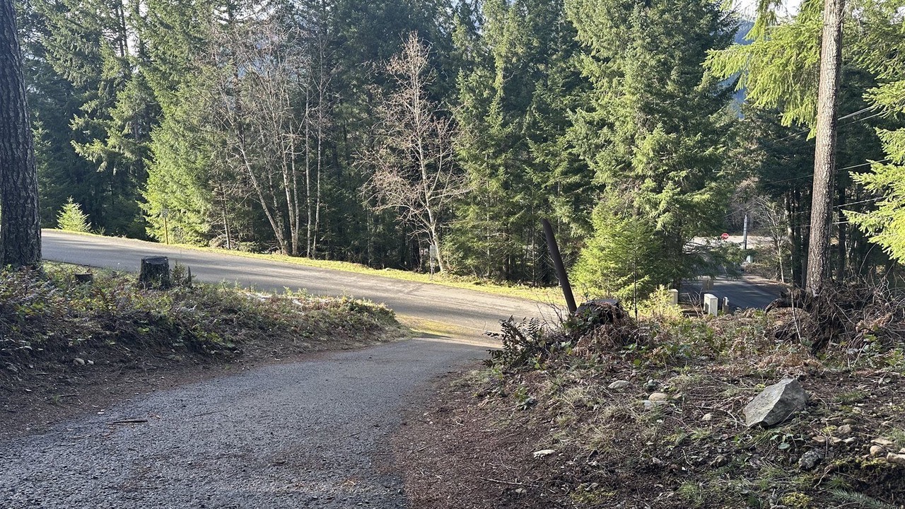 Photo of Outdoor in Packwood