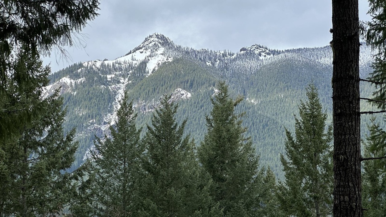 Photo of Outdoor in Packwood