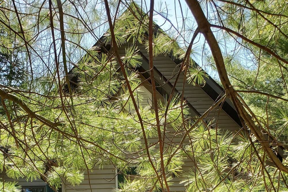 Photo of Outdoor in Mio