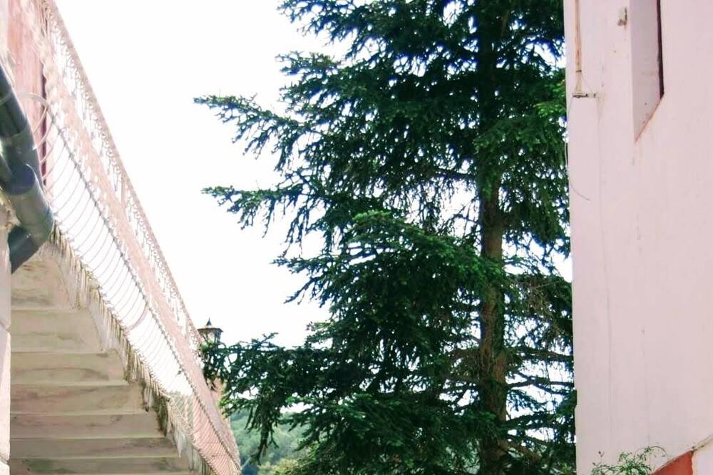 Photo of Outdoor in Sant Cebria de Vallalta