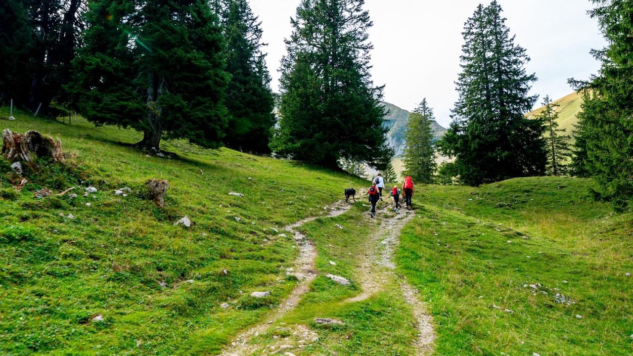 Photo of Outdoor in Schwarzenburg