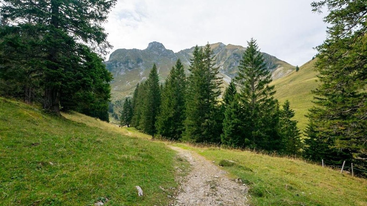 Photo of Outdoor in Schwarzenburg