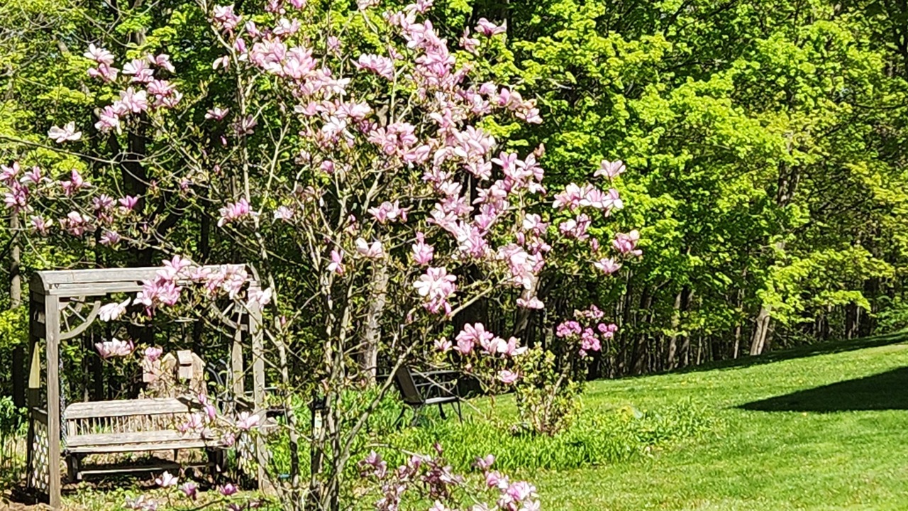 Photo of Outdoor in Limerick