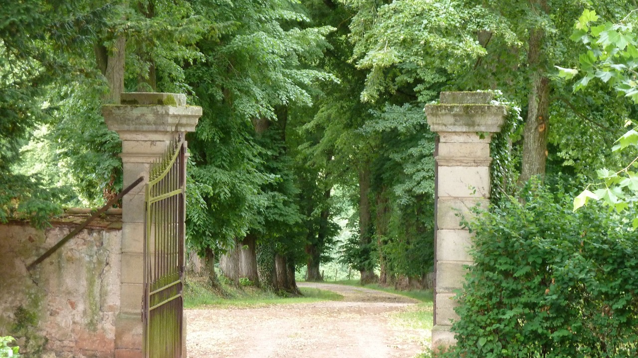 Photo of Outdoor in Saint-Menoux