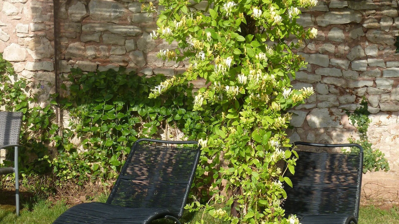 Photo of Outdoor in Saint-Menoux