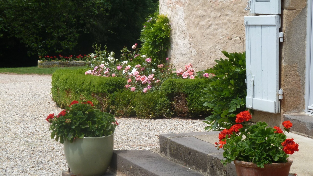 Photo of Outdoor in Saint-Menoux